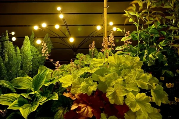 Enchant Your Garden: The Magical Appeal of Solar Firefly Lights