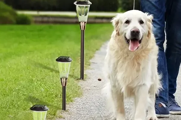 Bright Solar Walkway Lights for All-Night Illumination
