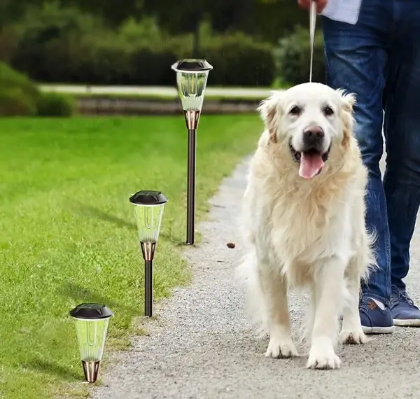 solar powered walkway lights