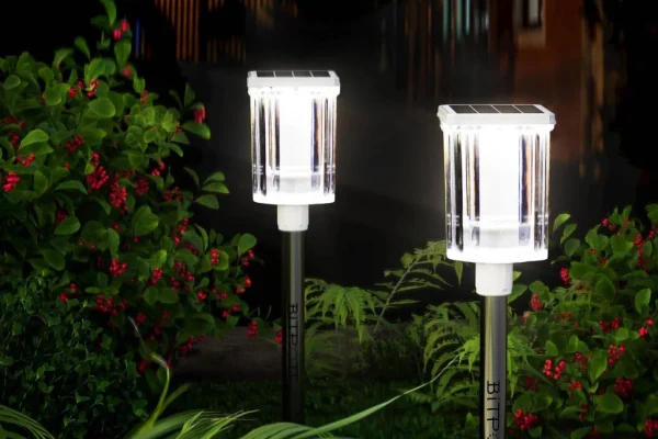 Gentle Glow for Happy Succulents: Solar Lighting for Your Desert Garden